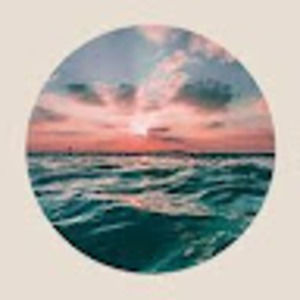 Meet your Posher, Sophie